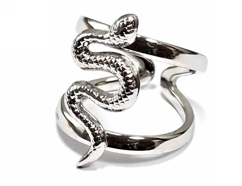 Silver Ring Snake Design closeup