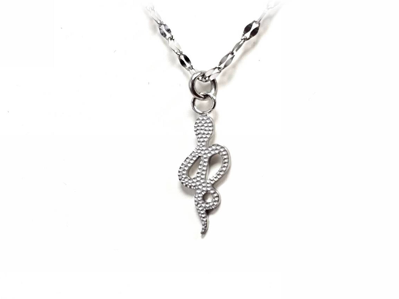 Κολιέ Ατσάλι 316L, αλυσίδα με φίδι σε χρώμα Ασημί