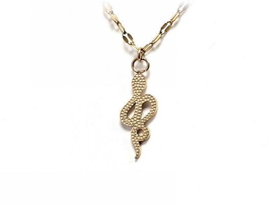 Κολιέ Ατσάλι 316L, αλυσίδα με φίδι σε χρώμα Χρυσαφί